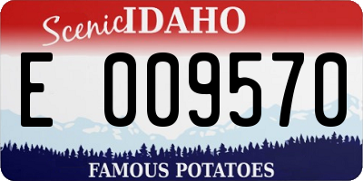 ID license plate E009570