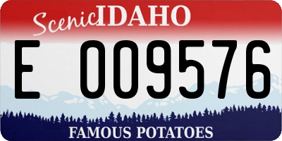 ID license plate E009576