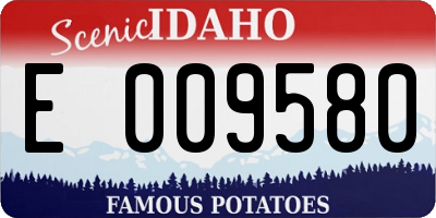 ID license plate E009580
