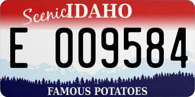 ID license plate E009584