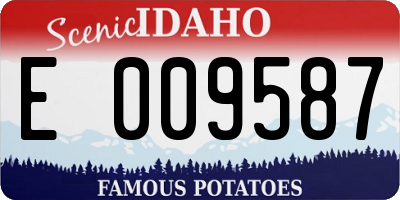 ID license plate E009587