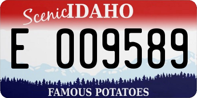 ID license plate E009589