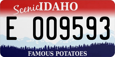 ID license plate E009593