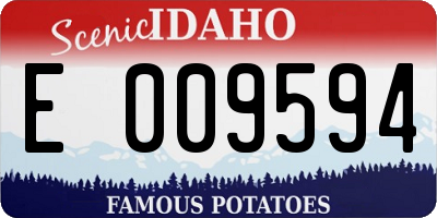 ID license plate E009594