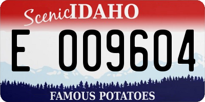 ID license plate E009604