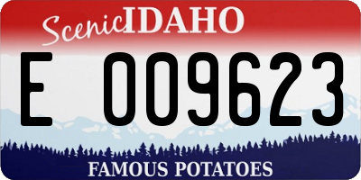 ID license plate E009623