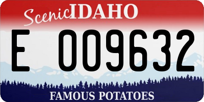 ID license plate E009632