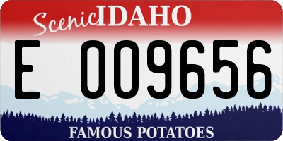 ID license plate E009656