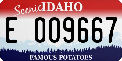 ID license plate E009667