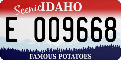 ID license plate E009668