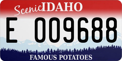 ID license plate E009688