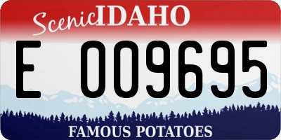 ID license plate E009695