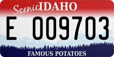ID license plate E009703