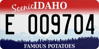 ID license plate E009704