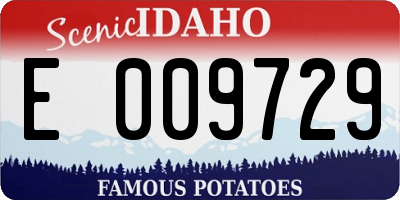 ID license plate E009729