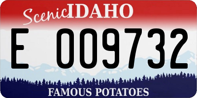 ID license plate E009732