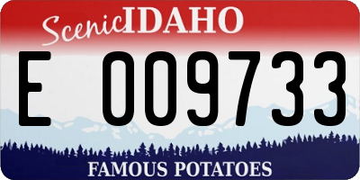 ID license plate E009733