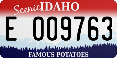 ID license plate E009763