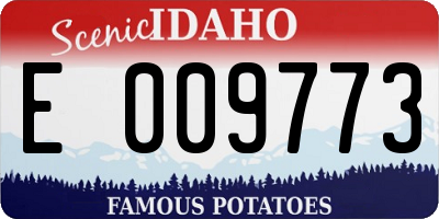 ID license plate E009773