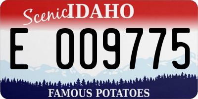 ID license plate E009775