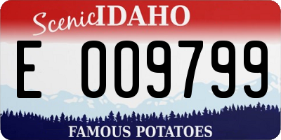 ID license plate E009799