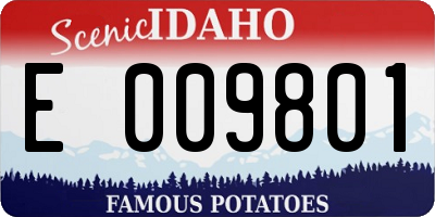 ID license plate E009801