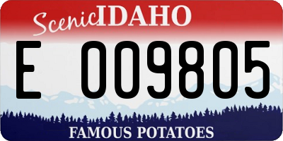 ID license plate E009805