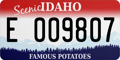 ID license plate E009807