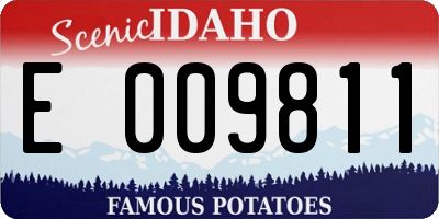 ID license plate E009811