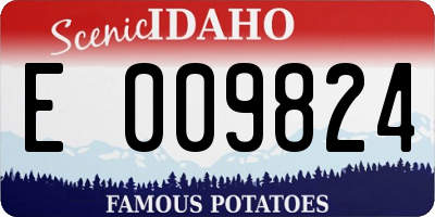 ID license plate E009824