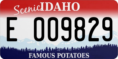 ID license plate E009829