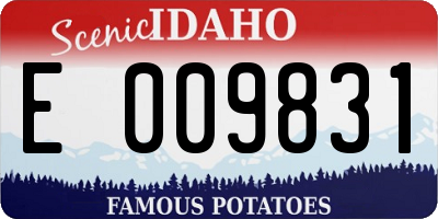 ID license plate E009831