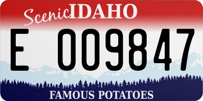 ID license plate E009847