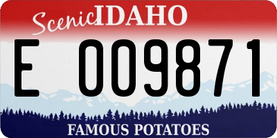 ID license plate E009871