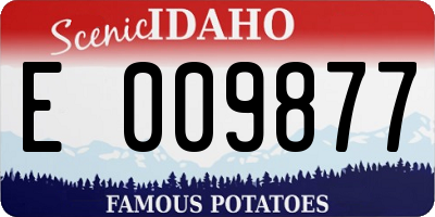 ID license plate E009877