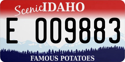 ID license plate E009883
