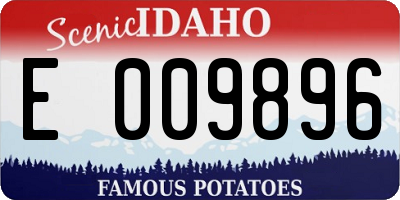 ID license plate E009896