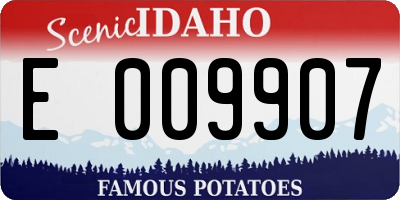 ID license plate E009907