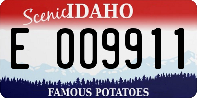 ID license plate E009911