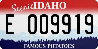 ID license plate E009919