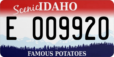 ID license plate E009920