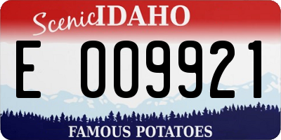 ID license plate E009921