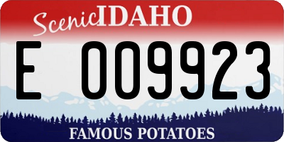 ID license plate E009923