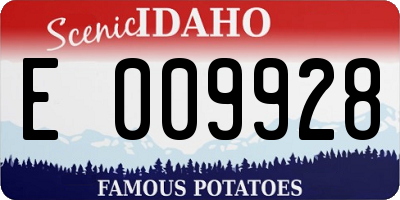 ID license plate E009928