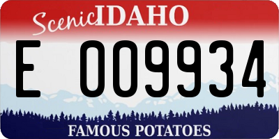 ID license plate E009934