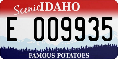 ID license plate E009935