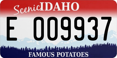 ID license plate E009937