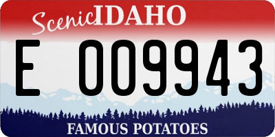 ID license plate E009943