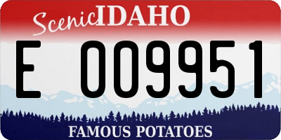 ID license plate E009951