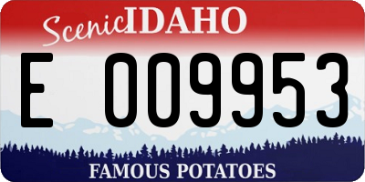 ID license plate E009953
